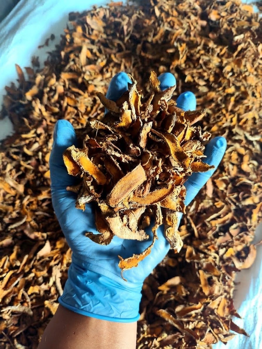 Indonesian Sliced Dried Turmeric